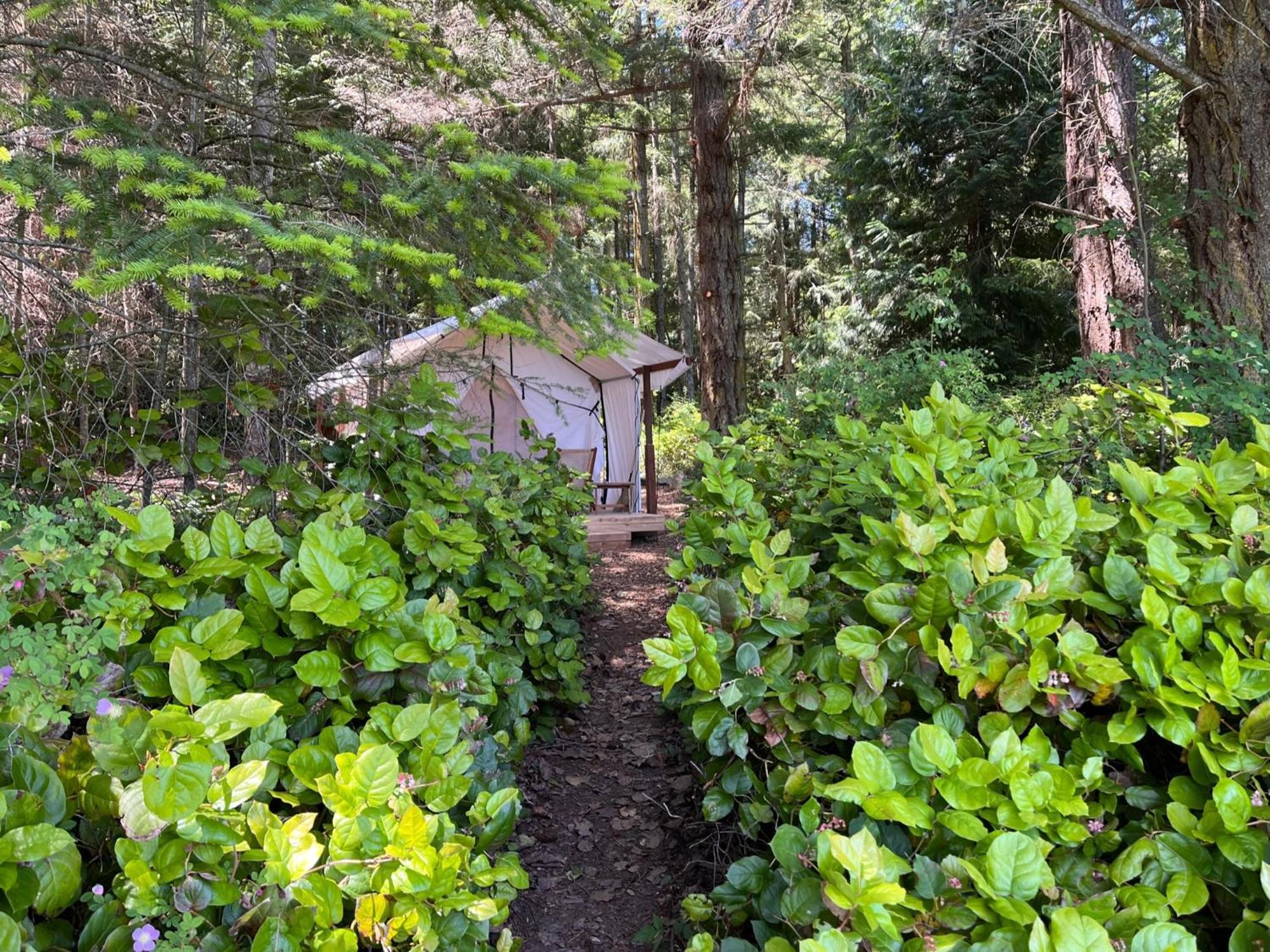 Lopez Farm Cottages & Tent Camping Lopez Island Exterior photo